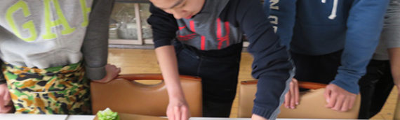 白菜パンケーキ