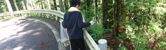 天龍ピカピカ大作戦