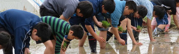 春の田んぼの学校