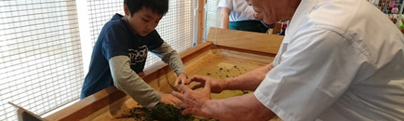 手もみ茶体験