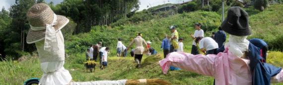 秋の 田んぼの学校