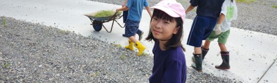 天龍ピカピカ大作戦in向方