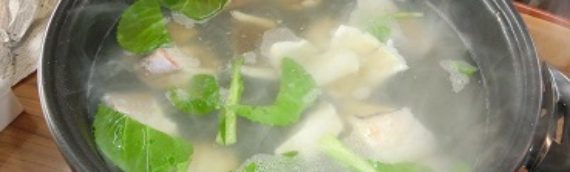 野菜収穫・野菜なべパーティー