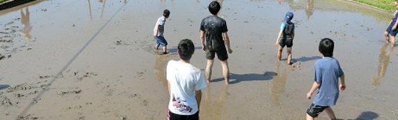 2017春の田んぼの学校